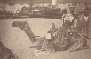 Camel with Native Men on the Bank of the Nile by Théodule Devéria